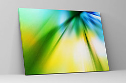 Obraz Farebná žiara 1436